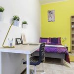 Rent a room in Bologna