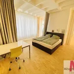 Rent 2 bedroom apartment of 100 m² in Nuremberg