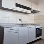 Rent 1 bedroom apartment of 36 m² in Ostrava