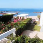 Rent 3 bedroom apartment of 65 m² in Belvedere Marittimo