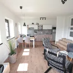 Rent 2 bedroom apartment of 59 m² in Vítkovice