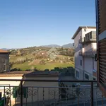 Quadrilocale in affitto