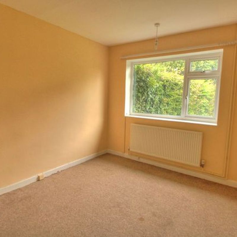 Bungalow to rent in Charles Avenue, Grundisburgh, Woodbridge IP13