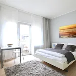 Miete 1 Schlafzimmer haus von 36 m² in Cologne