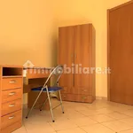 Rent 3 bedroom apartment of 90 m² in Catanzaro