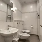 Rent 4 bedroom apartment of 150 m² in Prague