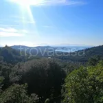 Rent 6 bedroom house of 200 m² in Castiglione della Pescaia