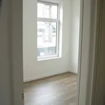 Huur 1 slaapkamer appartement van 40 m² in Arnhem