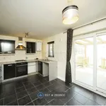 Rent 3 bedroom house in South West England