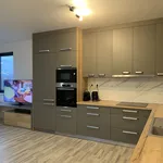 Pronajměte si 2 ložnic/e byt o rozloze 85 m² v Prague