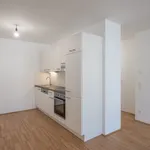 Miete 1 Schlafzimmer wohnung von 52 m² in Vienna