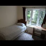 Rent a room in dublin