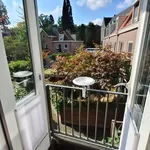 Rent 2 bedroom apartment of 55 m² in 's-Hertogenbosch