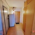 Rent 2 bedroom apartment of 40 m² in Krupka