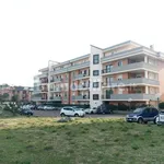 Affitto 2 camera appartamento di 65 m² in Viterbo