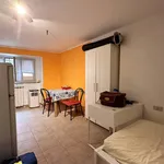 Rent 1 bedroom apartment of 28 m² in Milano