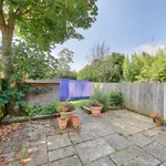 Semi-detached house to rent in St Marys Grove, Richmond, Surrey TW9