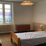 Rent 1 bedroom apartment in Roumazières-Loubert