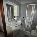 Rent 1 bedroom apartment of 30 m² in Novara