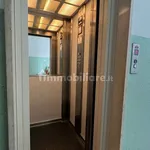 Rent 3 bedroom apartment of 75 m² in Bologna