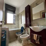 Rent 2 bedroom apartment of 40 m² in Biella