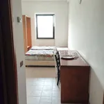 Rent 1 bedroom apartment of 35 m² in Cassino