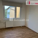 Rent 4 bedroom apartment of 91 m² in Poděbrady