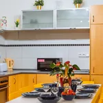 Rent 1 bedroom apartment of 60 m² in Prague