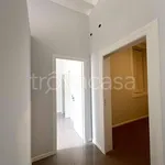 Rent 4 bedroom apartment of 119 m² in Bari