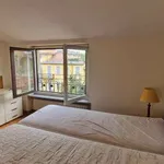 Rent 2 bedroom apartment of 55 m² in Milan