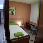 Alquilar 4 dormitorio apartamento en Madrid