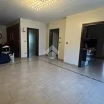 Rent 6 bedroom apartment of 100 m² in Verzuolo