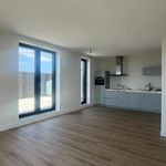 Rent 2 bedroom apartment of 75 m² in haarlem