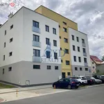 Pronajměte si 2 ložnic/e byt o rozloze 49 m² v Karlovy Vary