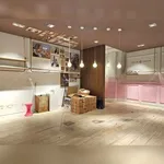 Rent 1 bedroom apartment in Paris