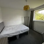 Rent 1 bedroom house in Teignbridge