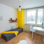 Rent 3 bedroom apartment in warsaw