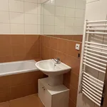 Pronájem bytu 1+kk 55m²