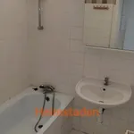 Rent 4 bedroom apartment of 73 m² in Ostrava