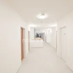 Pronajměte si 2 ložnic/e byt o rozloze 39 m² v Liberec