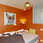 Louez une chambre à Toulouse