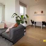 Appartement de 81 m² avec 2 chambre(s) en location à Ingelmunster