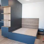 Pronajměte si 1 ložnic/e byt o rozloze 45 m² v Prague