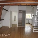 Rent 1 bedroom apartment of 50 m² in The Hague