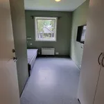 Rent 1 bedroom apartment of 10 m² in Trondheim