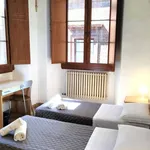 Rent 1 bedroom house of 21 m² in Siena