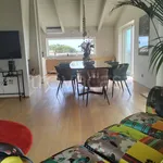 Rent 7 bedroom house of 300 m² in Montesilvano