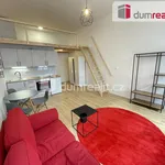 Rent 1 bedroom apartment of 42 m² in Prague