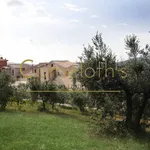 Rent 3 bedroom apartment of 75 m² in Volterra