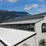 Rent 1 bedroom apartment of 20 m² in Grenoble